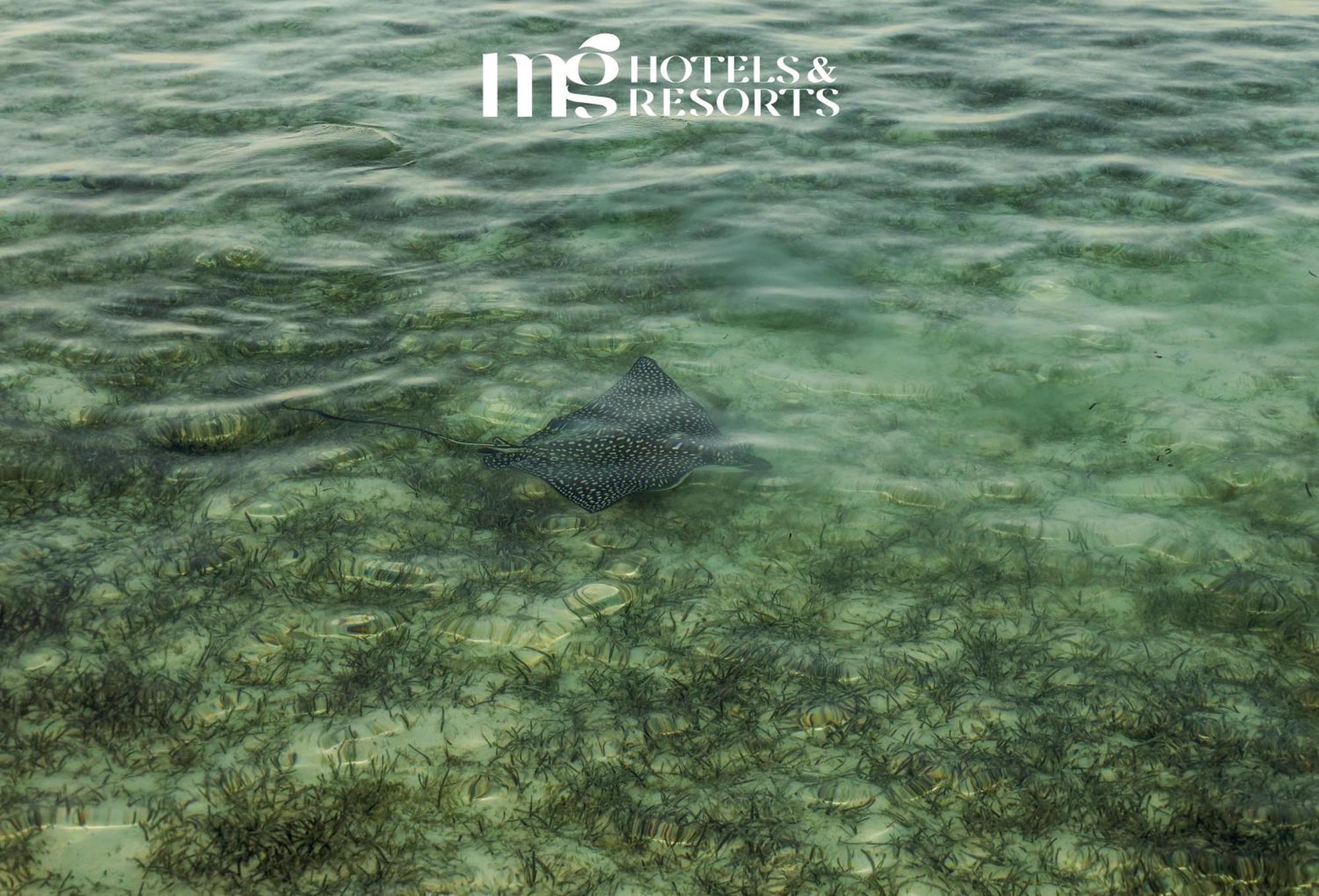 Mg Alexander The Great Hotel Marsa Alam 外观 照片