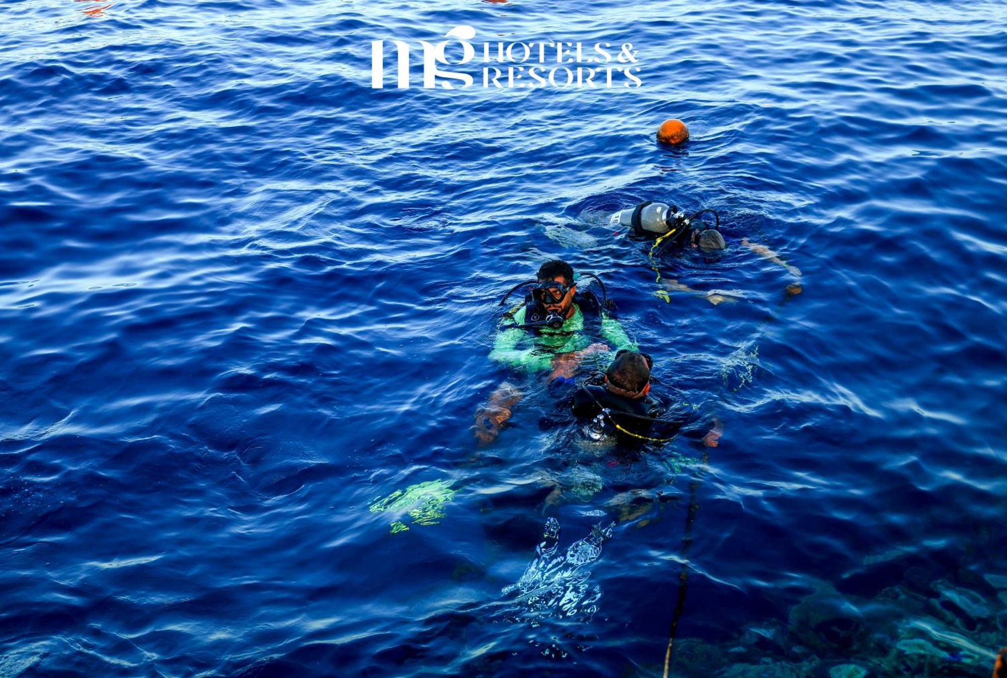 Mg Alexander The Great Hotel Marsa Alam 外观 照片
